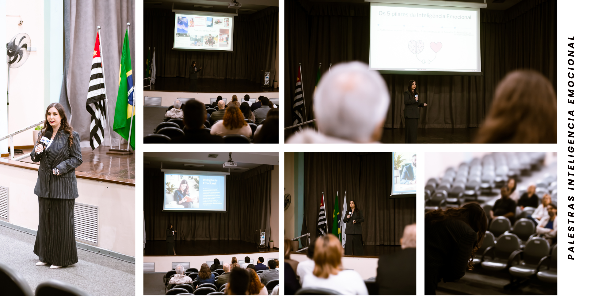 Paletra Inteligencia Emocional.png